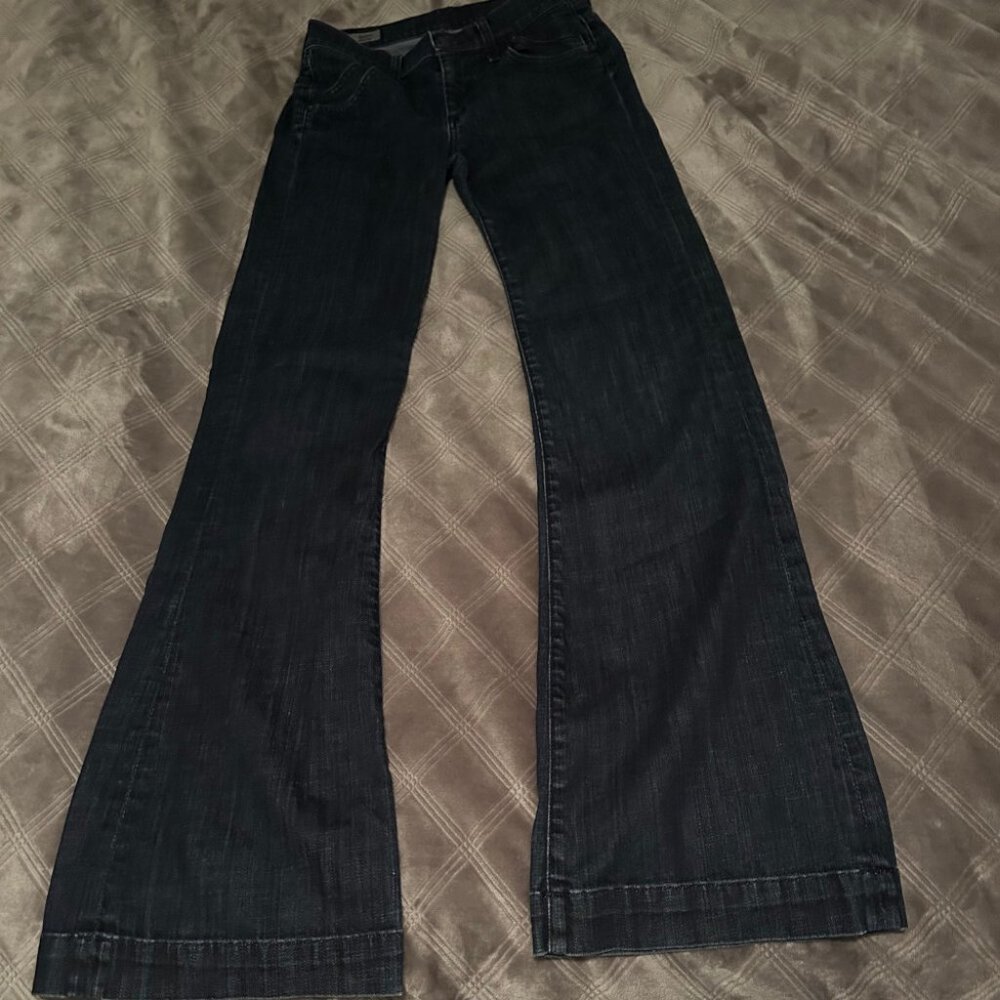 COH Citizens of Humanity Hutton 251 High Rise Wide Leg Size 26 Tall